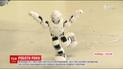 Из-за изобретений 2017 года в мире заговорили о регулировании отношений между людьми и машинами