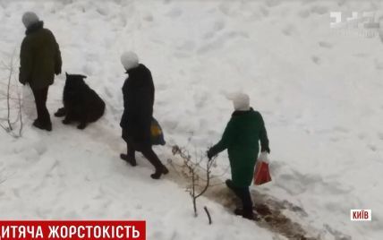Жорстоке вбивство собаки в новорічну ніч сколихнуло один із районів Києва