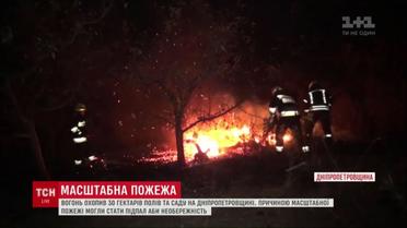 На Днепропетровщине огонь охватил 30 гектаров сухой травы и заброшенного сада
