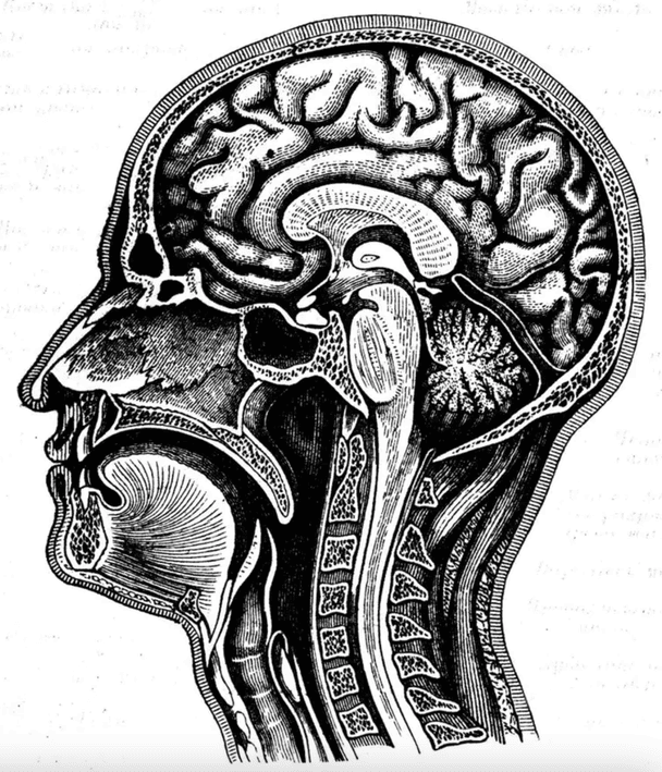 Протягом століть він залишався непоміченим / © Getty Images