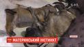 Мамою стала собака Майя, яку знайшли з відрубаними лапами на Львівщині