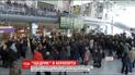 Уникальное исполнение "Щедрика": в аэропорту Львова около 3 сотни хористов спели известную рождественскую песню