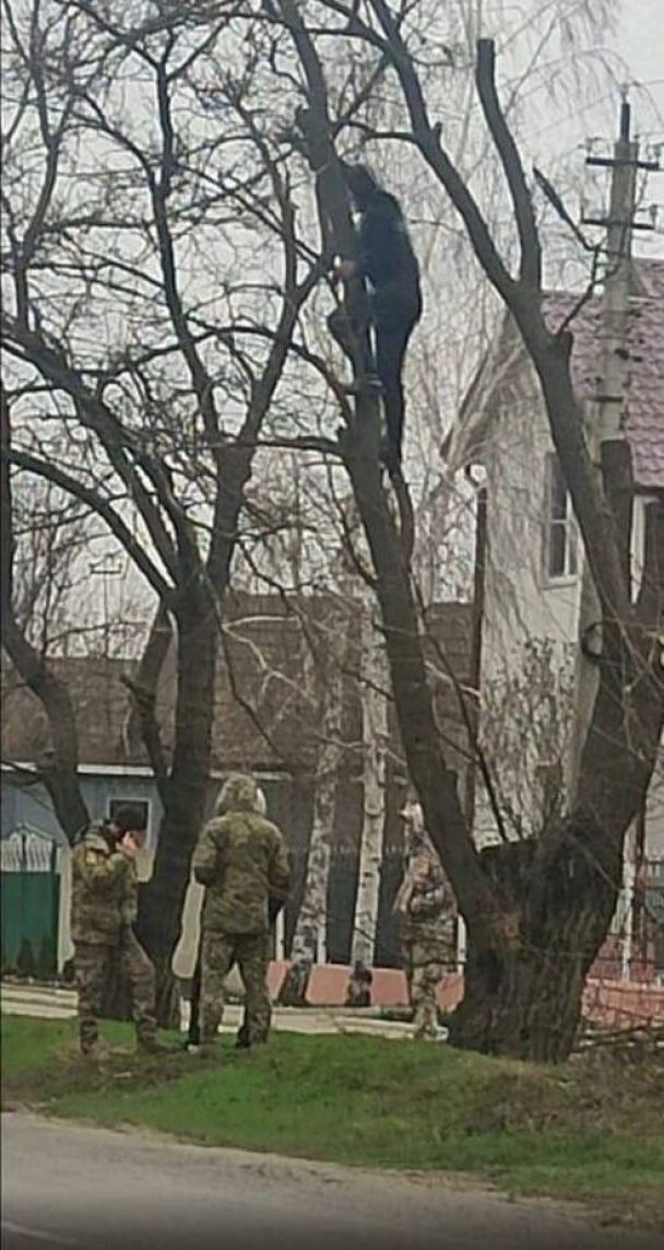 Чоловік заліз на дерево, щоб врятуватися від ТЦК / © 