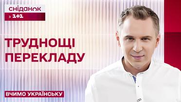 Три варіанти перекладу слова "вид" – вчимо українську