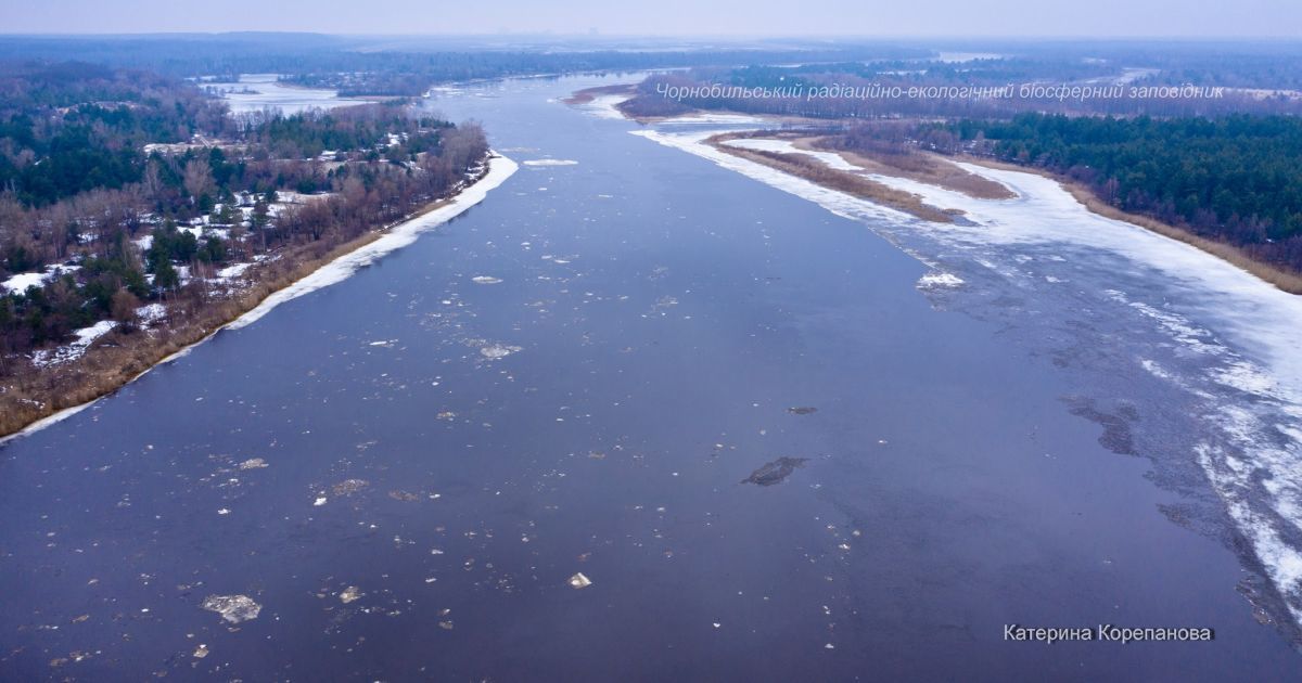 Весна у Чорнобильському заповіднику: співробітники оприлюднили милі фото