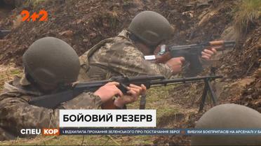 Какой будет территориальная оборона в Украине и будет ли она вообще