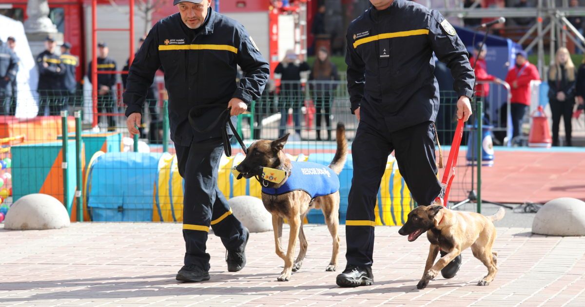 Посвята цуценят у рятувальники_4 / © ГСЧС