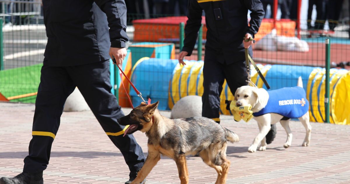 Посвята цуценят у рятувальники_2 / © ГСЧС