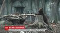 Мешканців українських зоопарків починають поступово випускати у літні загони