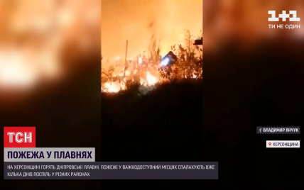 В Херсонской области горят Днепровские плавни