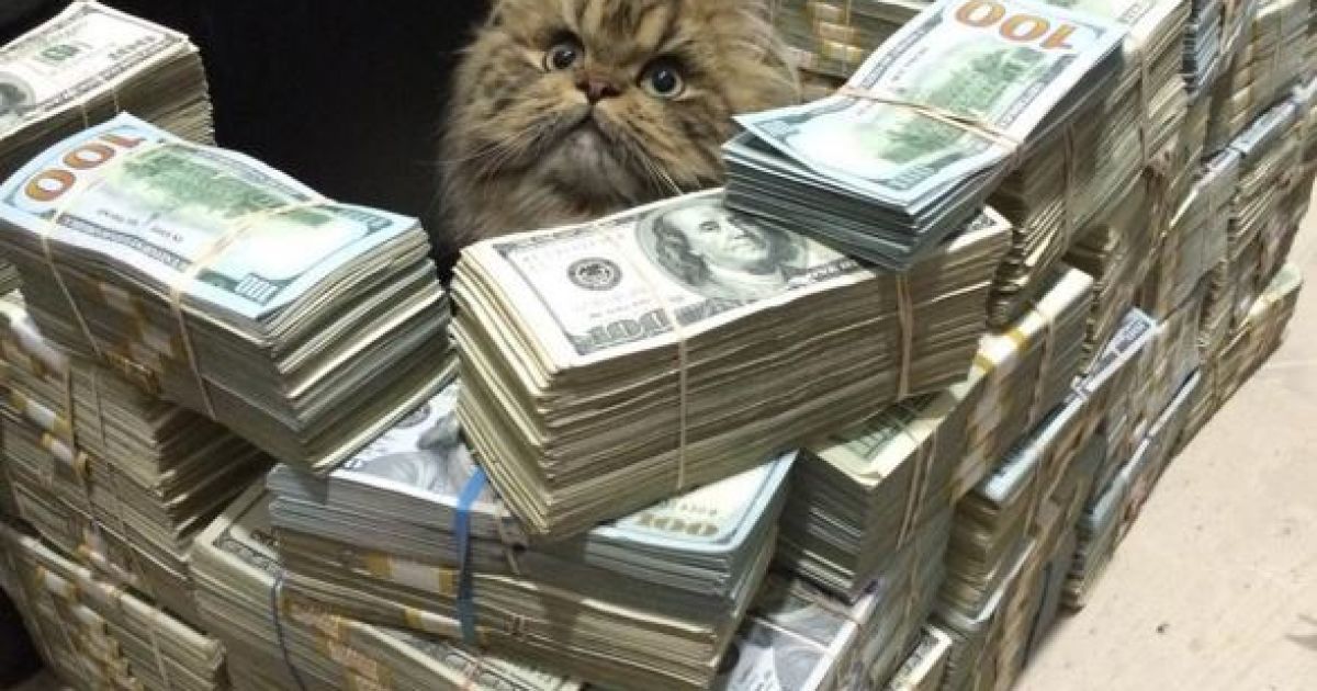 Звезда покера кичится вечеринками с обнаженными моделями / © instagram.com/danbilzerian