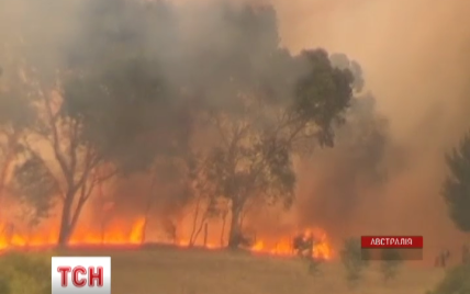 Лесные пожары в Австралии вышли из-под контроля пожарных и "съели" несколько домов