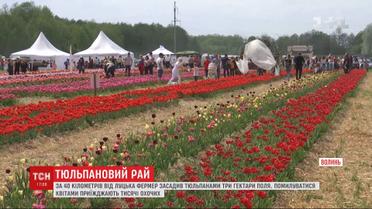 Тюльпановый рай: фермер высадил три гектара поля цветов