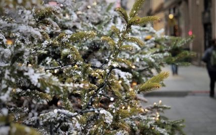 В Киеве устанавливают первую новогоднюю елку (фото)