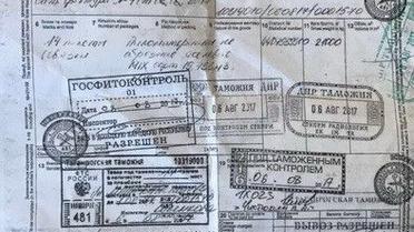 постачання продукытв_4 / © СБУ