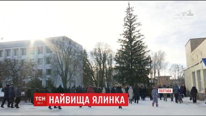 Где самая высокая елка: Национальный Реестр рекордов официально зафиксировал новый рекорд Украины