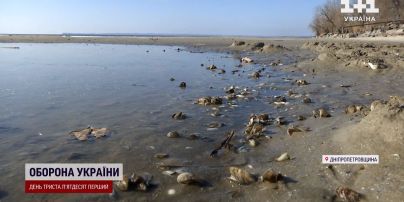 Неизбежная катастрофа: из-за действий россиян полмиллиона человек останутся без воды