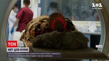 Новости мира: в миланской больнице сделали МРТ мумии из древнего Египта