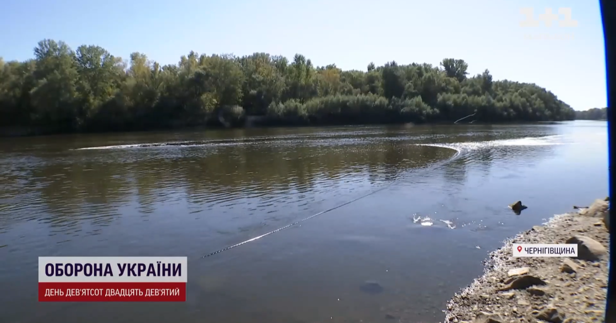 Десна