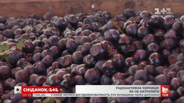 Осторожно, радиоактивная черника: как не купить опасную ягоду