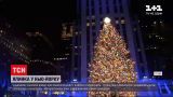Головна ялинка Нью-Йорка засяяла понад 50 тисячами світлодіодів