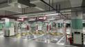 Tesla відкрила свою найбільшу зарядну станцію в світі: відео