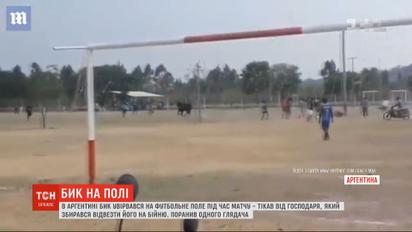 В Аргентині бик увірвався на футбольне поле просто під час гри