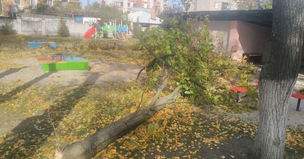 Під Полтавою у дитсадку на дітей впало дерево