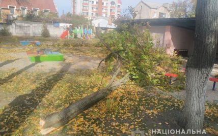 Под Полтавой в детском саду на детей упало дерево