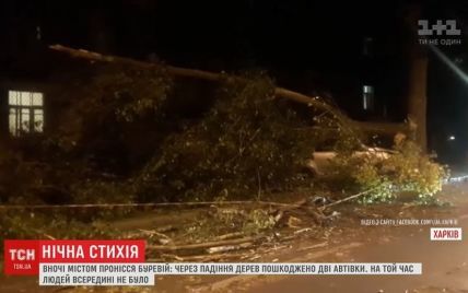 В Харькове 15-минутный ураган вырывал деревья и валил заборы