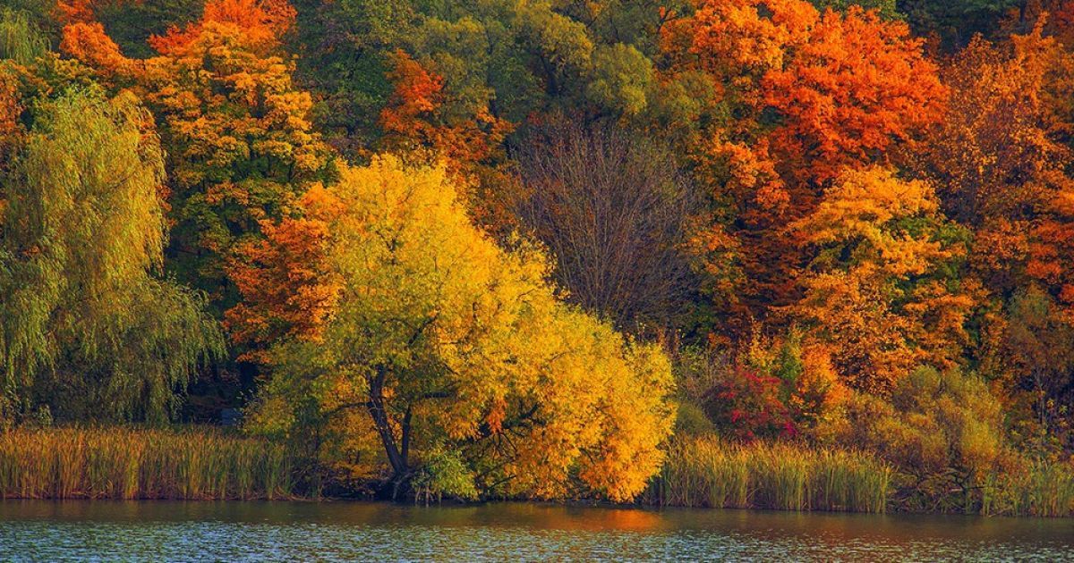 Що чекає на українців в жовтні