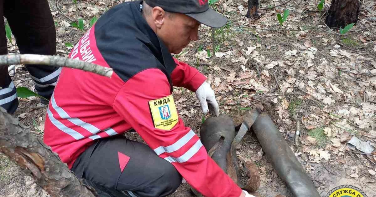 В Киеве обнаружен обломок ракеты "Град" в Святошинском лесничестве