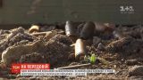 Один український військовий зазнав поранень під час обстрілів на Донбасі