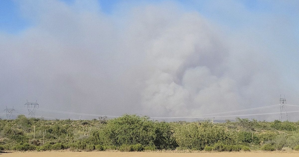 Окупанти тероризують Харків