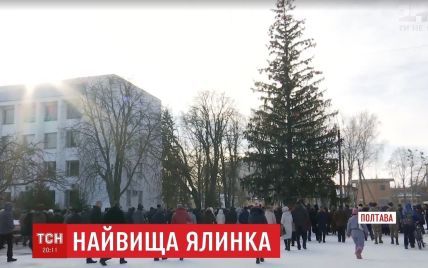 Провинциальный город на Полтавщине украсил самую высокую живую елку в Украине