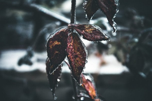 Народные приметы 28 ноября / © unsplash.com