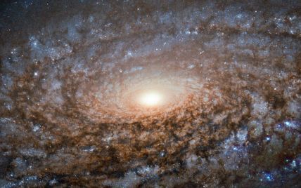 Телескоп Hubble сделал снимок "шерстяной" галактики