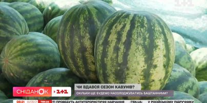 Почему херсонские фермеры уничтожают урожай арбузов
