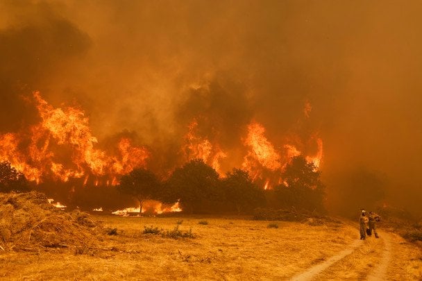 Испания переживает самый большой лесной пожар в истории / © Associated Press