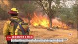 На севере Калифорнии не утихают лесные пожары