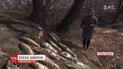 Десятки тонн рыбы вымерли в водохранилище в Кировоградской области