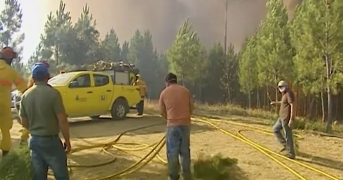 лісові пожежі в Португалії_3 / © Associated Press