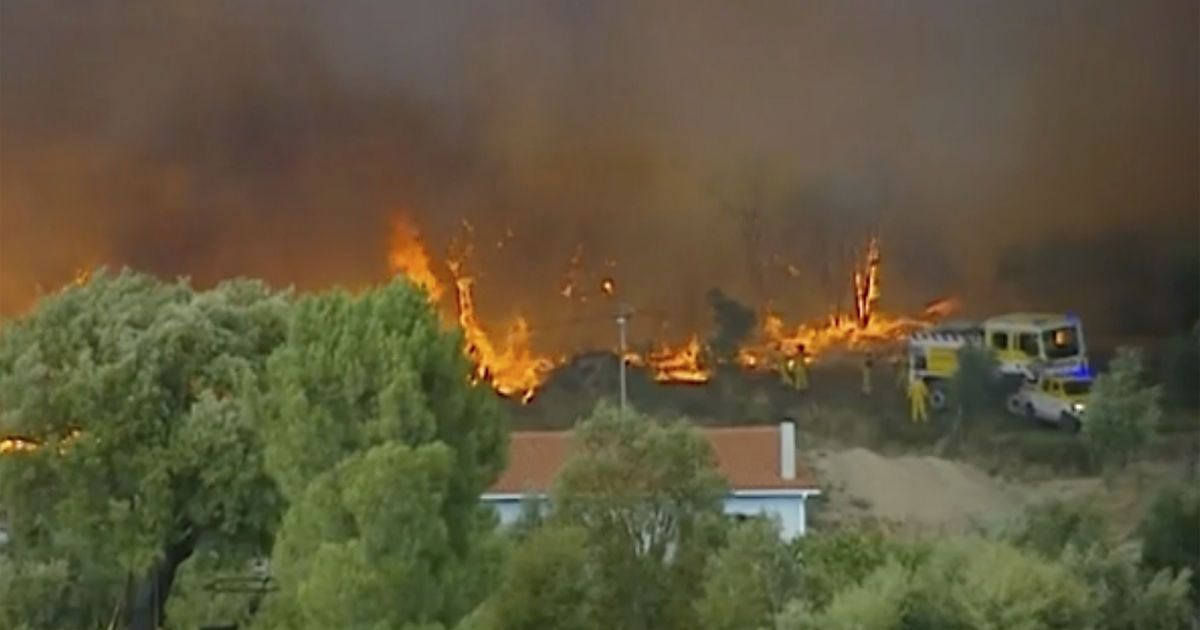 лісові пожежі в Португалії_2 / © Associated Press
