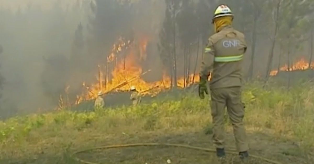лісові пожежі в Португалії_1 / © Associated Press