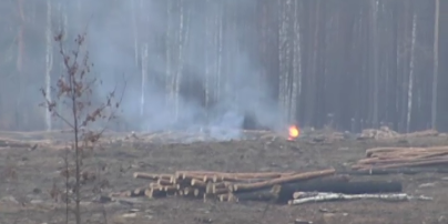 Матери Савченко предложили земельный участок в Быковнянском лесу