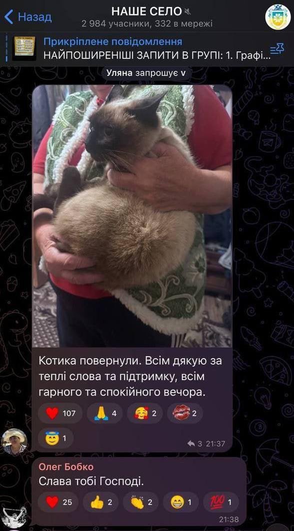  / © скриншот