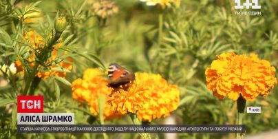 Погода в Україні: чи потішить українців бабине літо