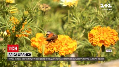 Погода в Україні: чи потішить українців бабине літо