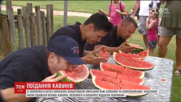 В зоопарку американського штату Арканзас влаштували конкурс з поїдання кавунів