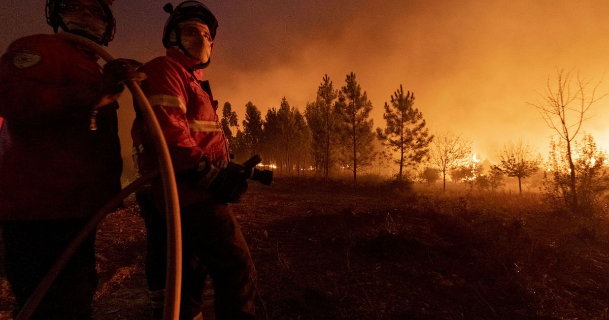 лісові пожежі в Португалії_4 / © Associated Press